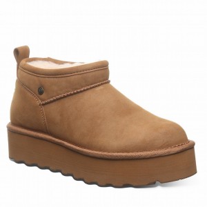 Bearpaw Retro Super Shorty Vegan Platform Støvler Dame Brune | WYP792WA