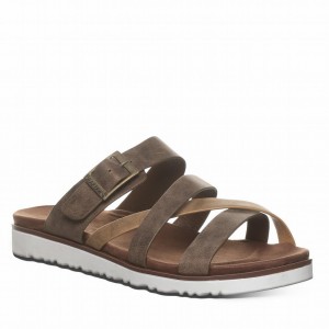 Bearpaw Rhodes Sandaler Dame Brune | ZRO297IN