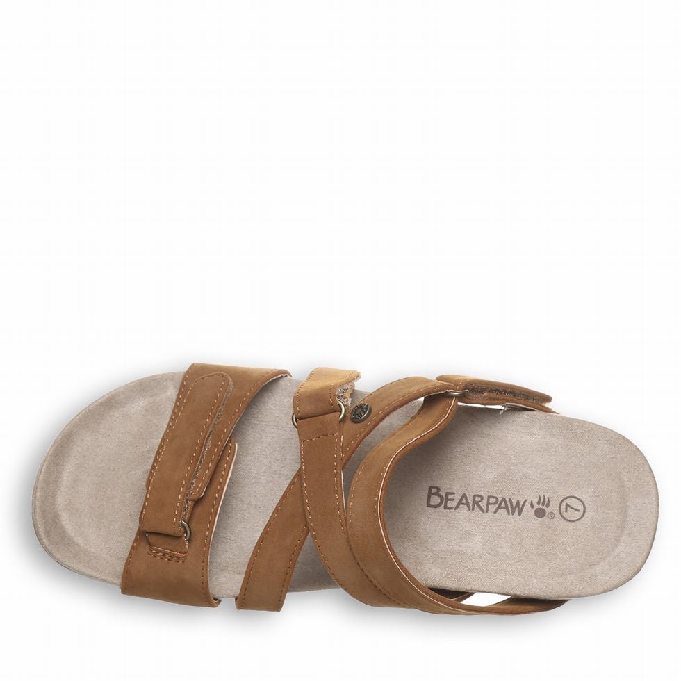 Bearpaw Acacia Sandaler Dame Brune | CTQ8815CL