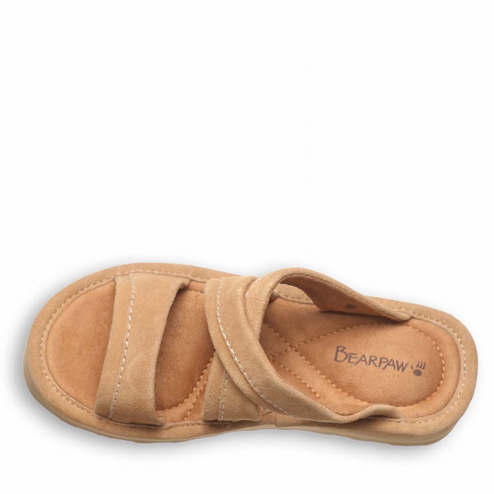 Bearpaw Altitude Sandaler Dame Brune | XAX8449ZI