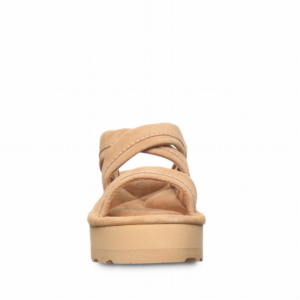 Bearpaw Altitude Sandaler Dame Brune | XAX8449ZI