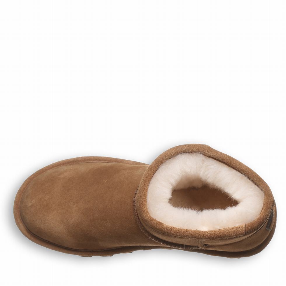 Bearpaw Alyssa Støvler Dame Brune | IAG7173XD