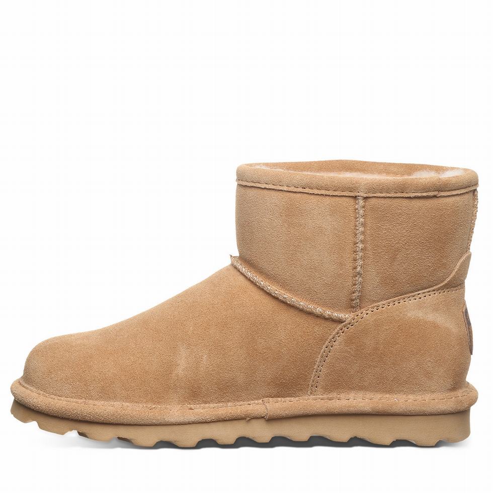 Bearpaw Alyssa Støvler Dame Brune | OEL2919CK