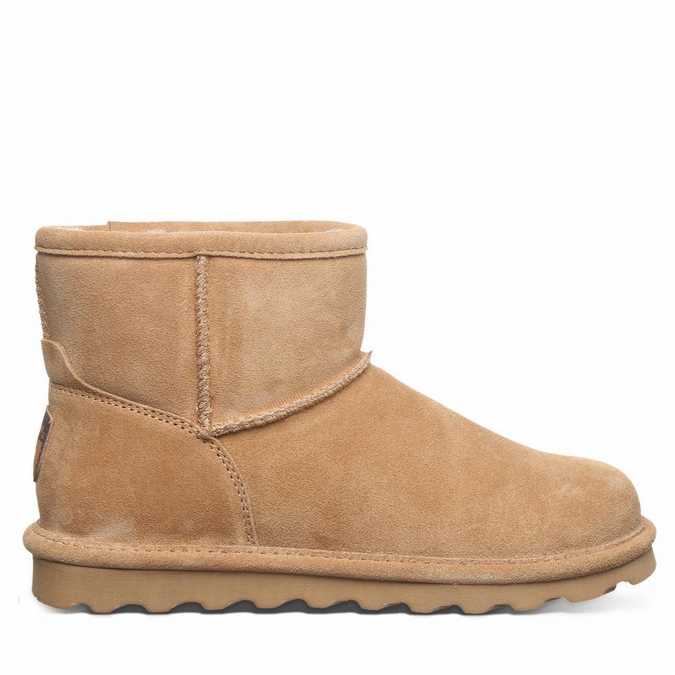 Bearpaw Alyssa Støvler Dame Brune | OEL2919CK