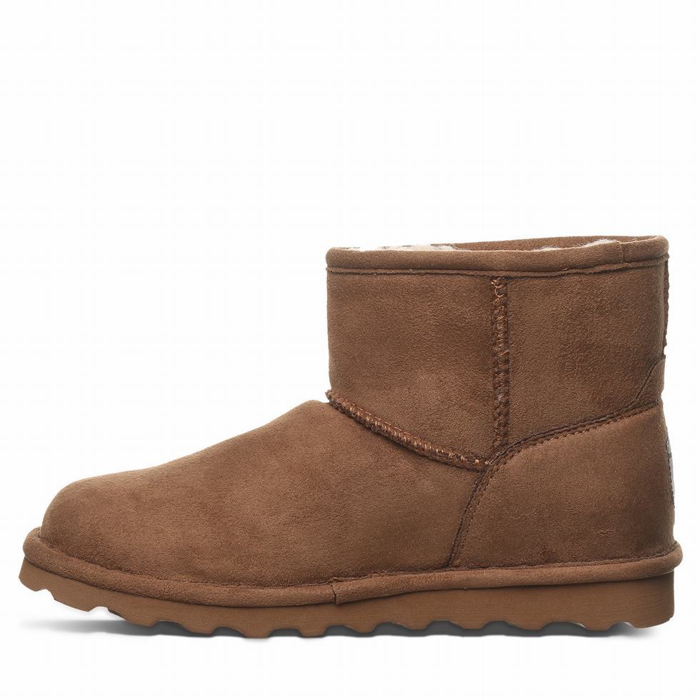 Bearpaw Alyssa Vegan Støvler Dame Brune | WFF6241YE