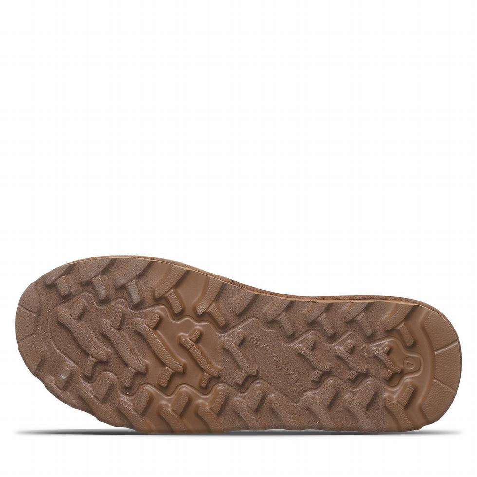 Bearpaw Alyssa Vegan Støvler Dame Brune | WFF6241YE