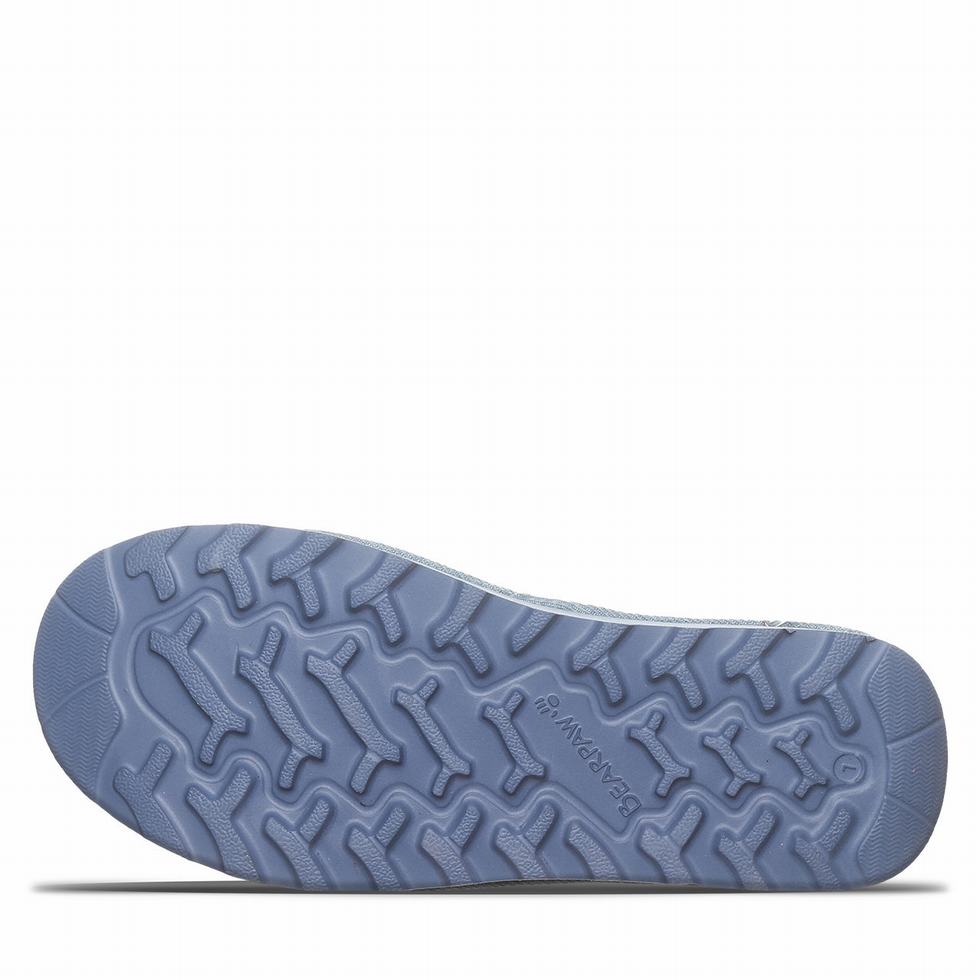 Bearpaw Ascend Sandaler Dame Blå | ORL7228ZO