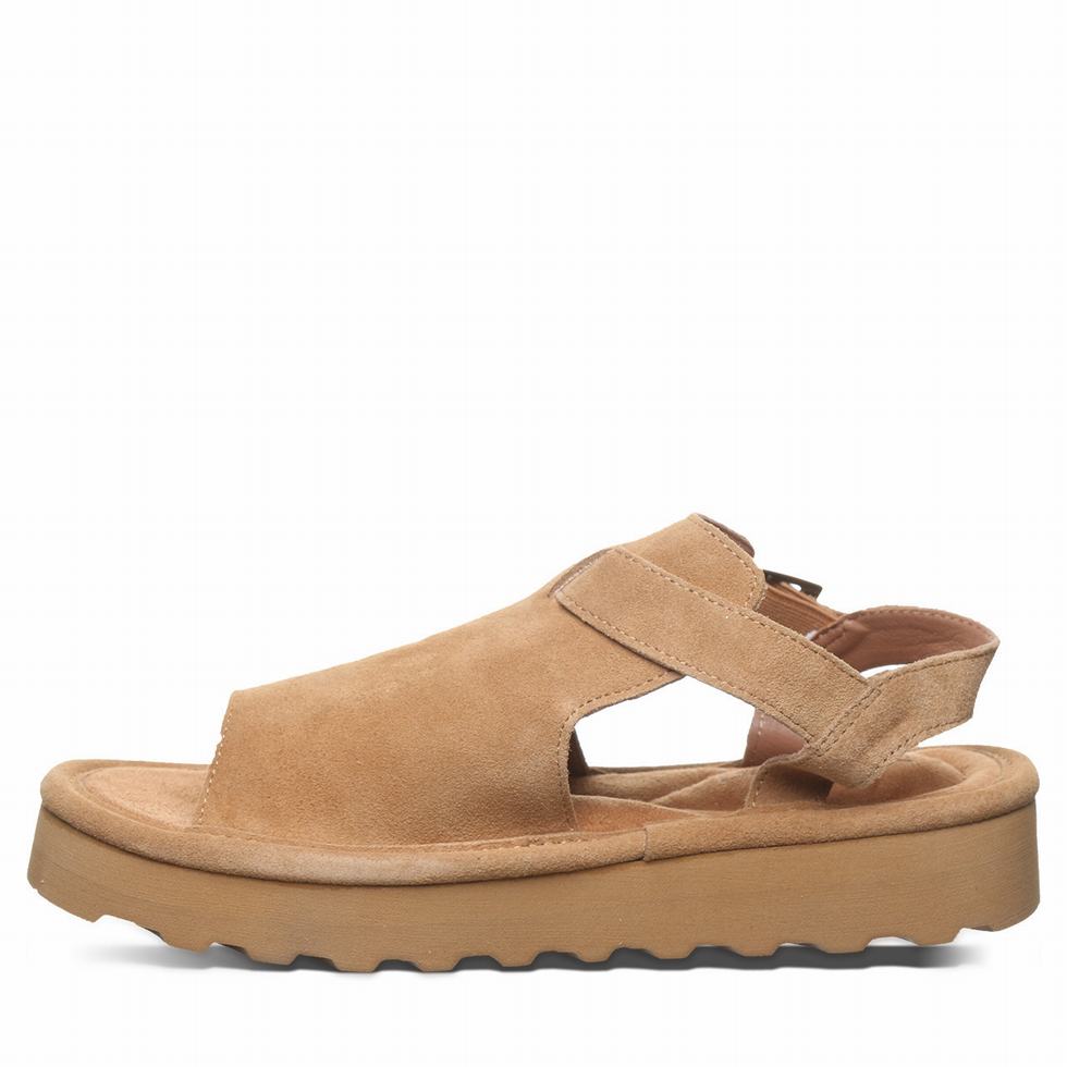 Bearpaw Ascend Sandaler Dame Brune | EFP2453GL