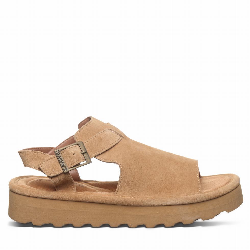 Bearpaw Ascend Sandaler Dame Brune | EFP2453GL