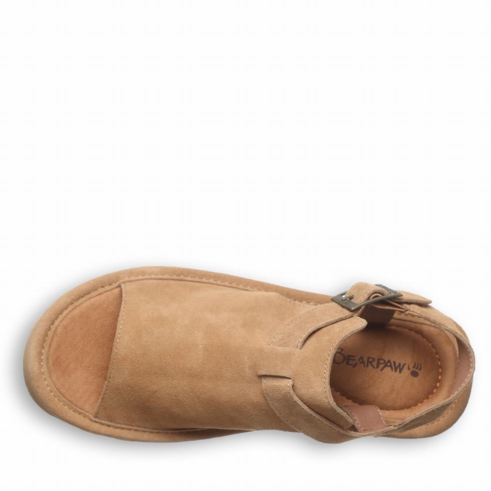 Bearpaw Ascend Sandaler Dame Brune | EFP2453GL