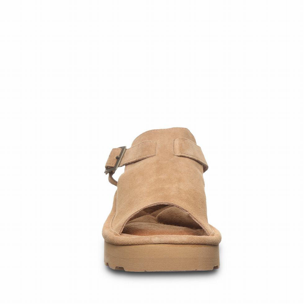 Bearpaw Ascend Sandaler Dame Brune | EFP2453GL