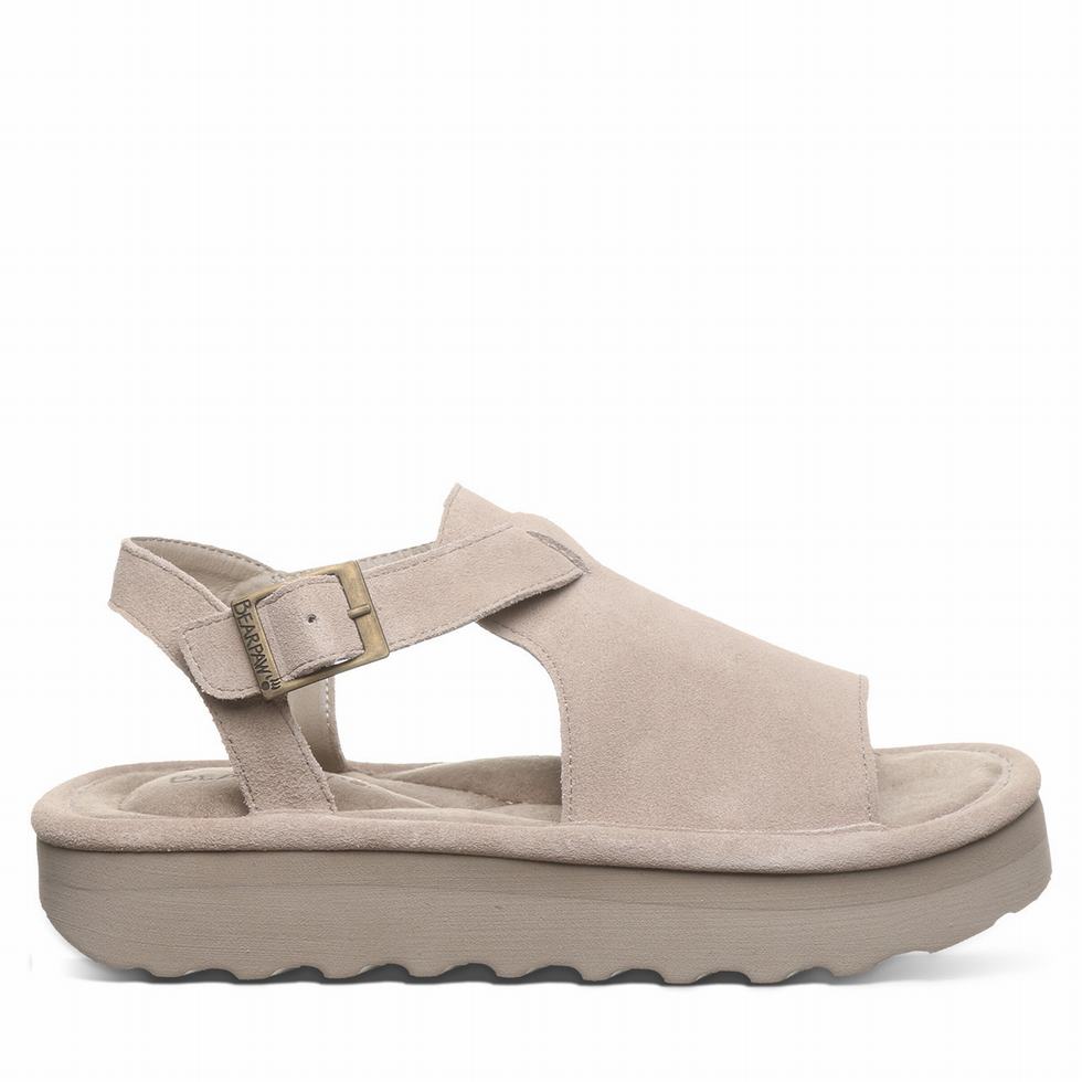 Bearpaw Ascend Sandaler Dame Grå | BUP4170DS