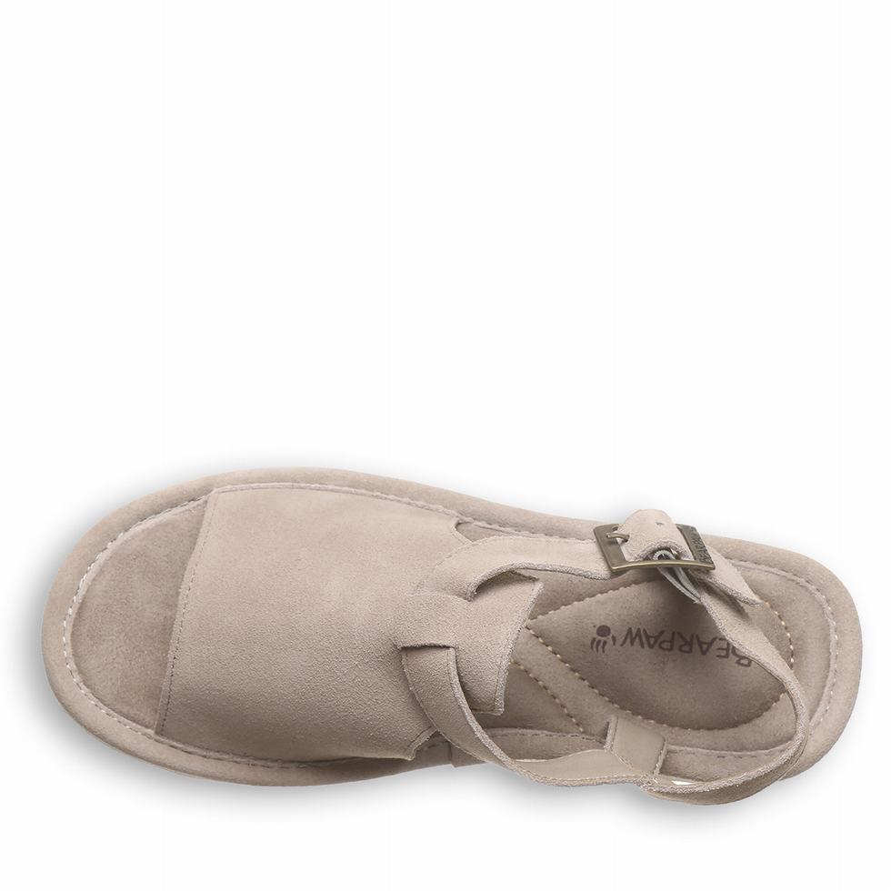 Bearpaw Ascend Sandaler Dame Grå | BUP4170DS