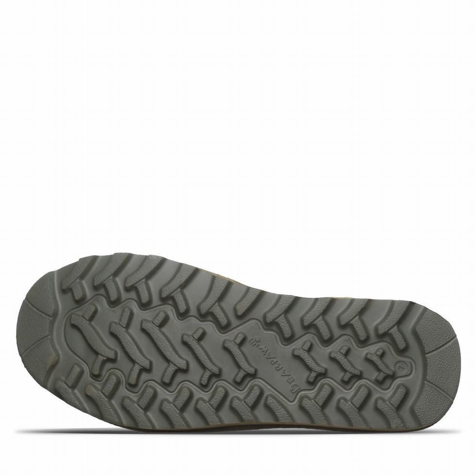 Bearpaw Ascend Sandaler Dame Grønn | GZW2641SL