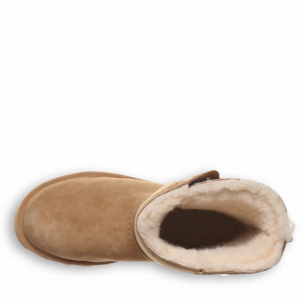 Bearpaw Aurelia Støvler Dame Brune | OWR7642AM