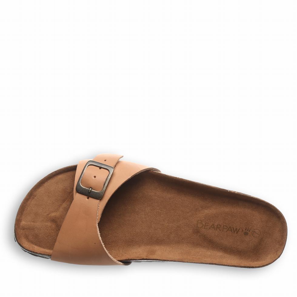 Bearpaw Ava Sandaler Dame Brune | KGE9984TT