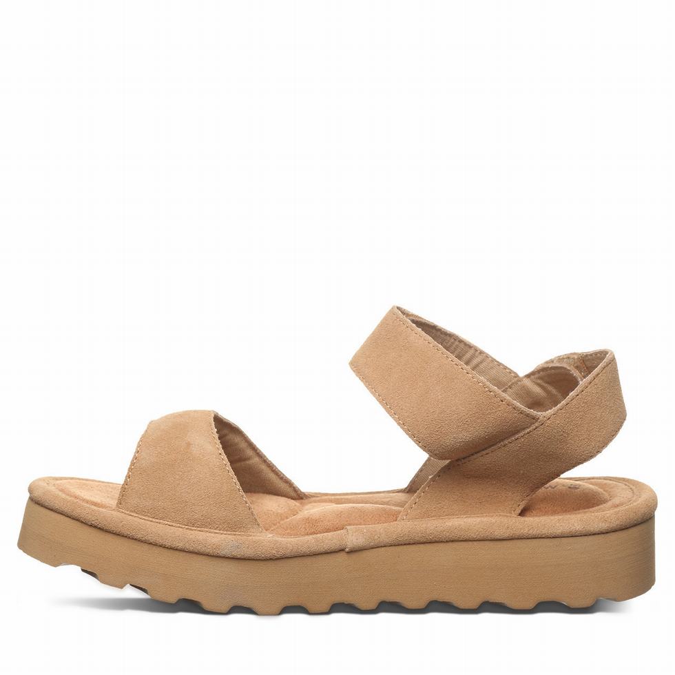 Bearpaw Crest Sandaler Dame Brune | MEW847TF