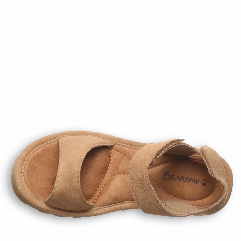 Bearpaw Crest Sandaler Dame Brune | MEW847TF