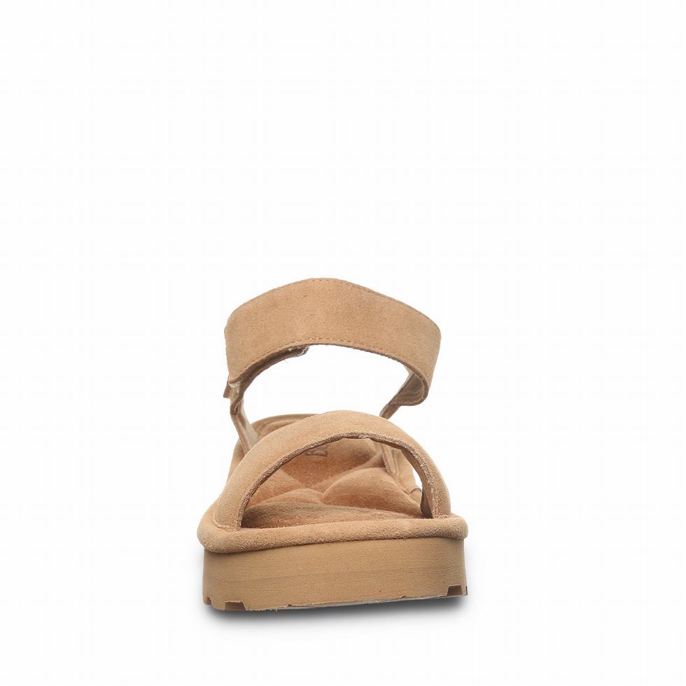 Bearpaw Crest Sandaler Dame Brune | MEW847TF