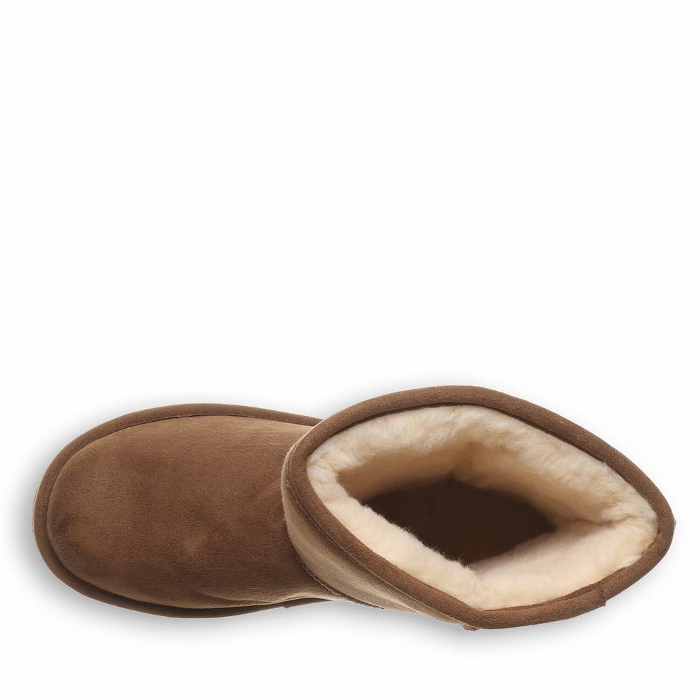 Bearpaw Elle Short Vegan Støvler Dame Brune | UGG9052XI