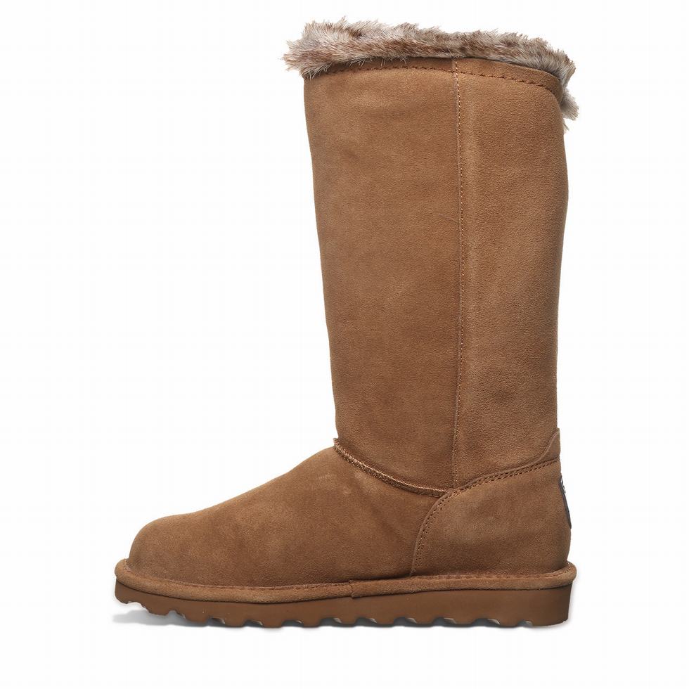 Bearpaw Emery Støvler Dame Brune | IHD64PT