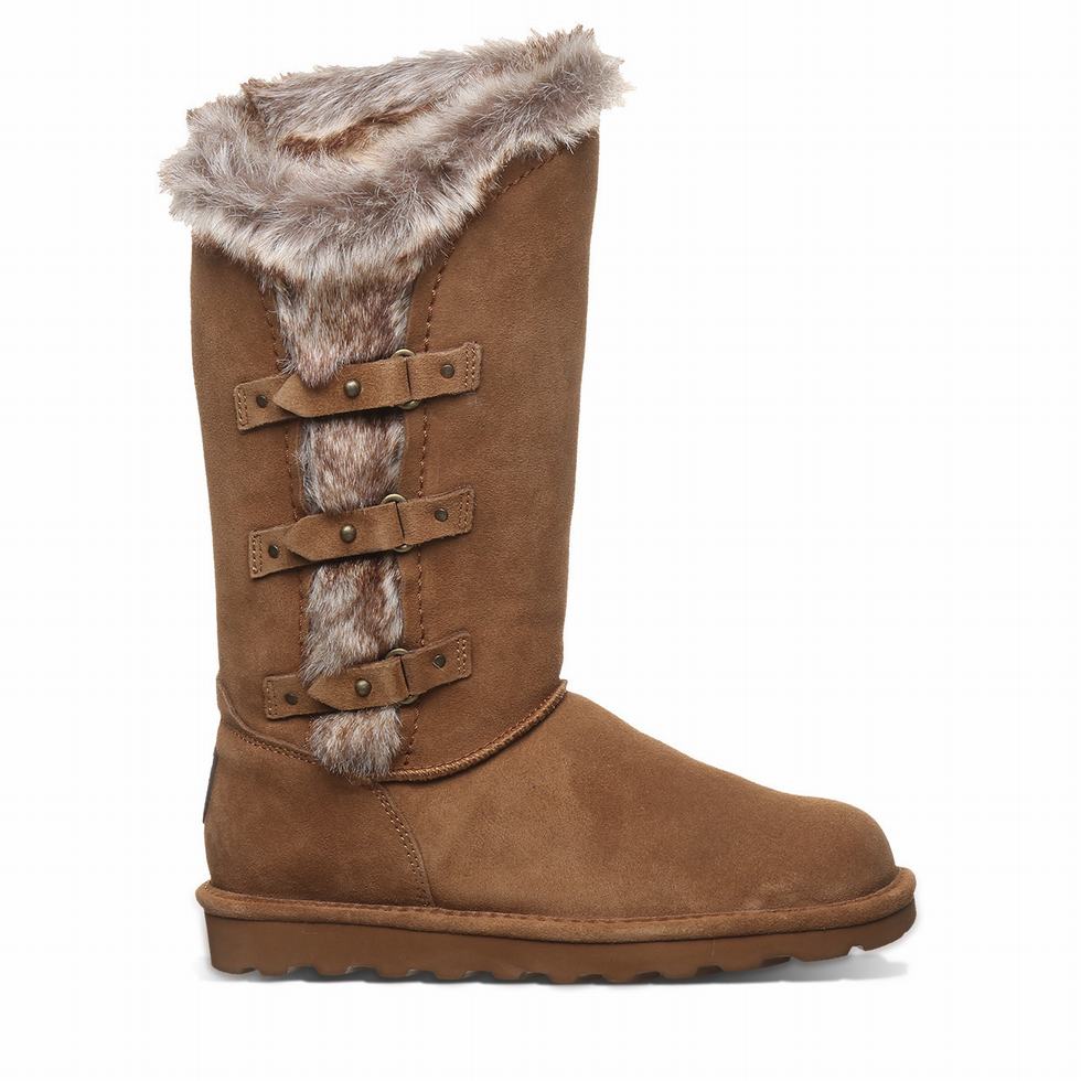 Bearpaw Emery Støvler Dame Brune | IHD64PT