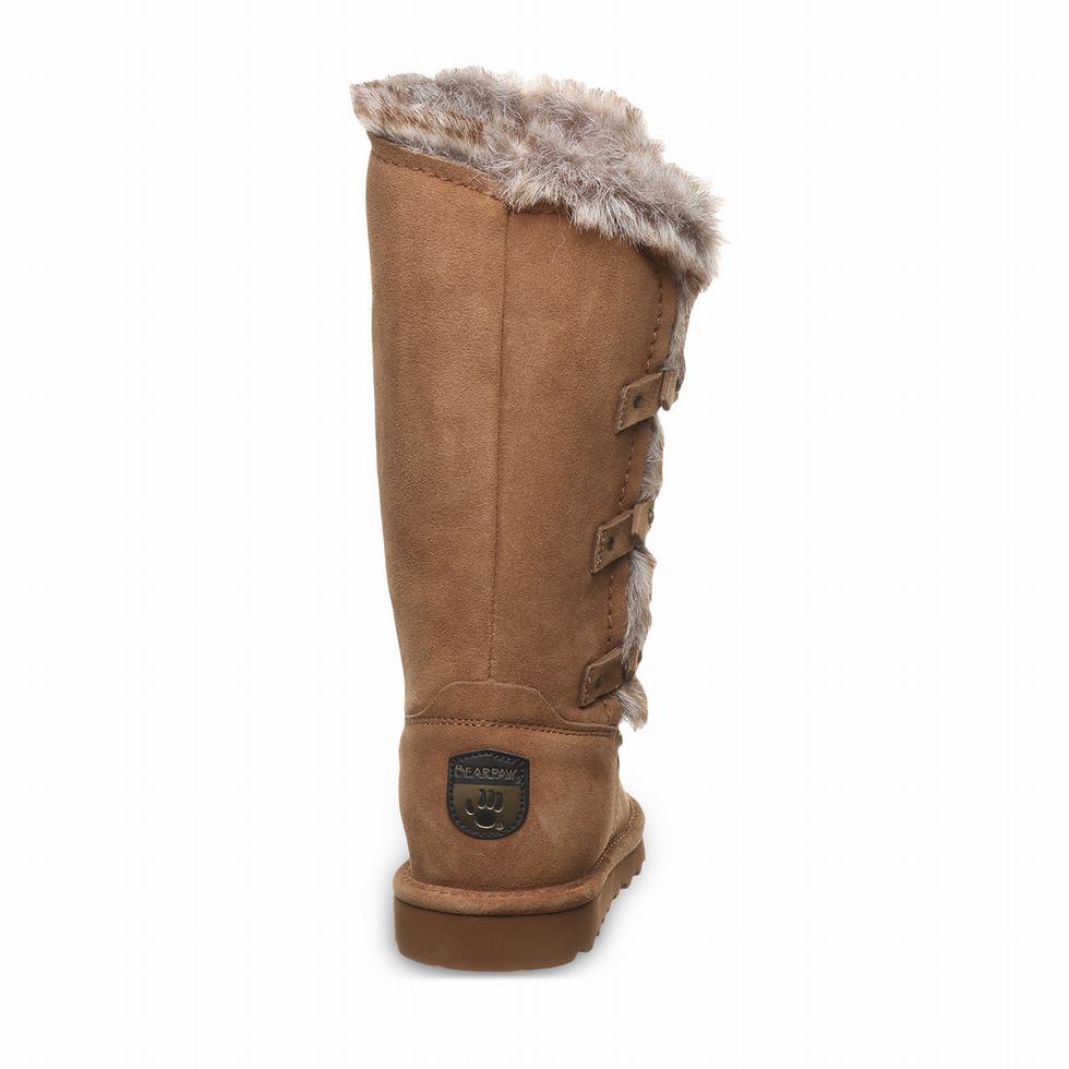 Bearpaw Emery Støvler Dame Brune | IHD64PT