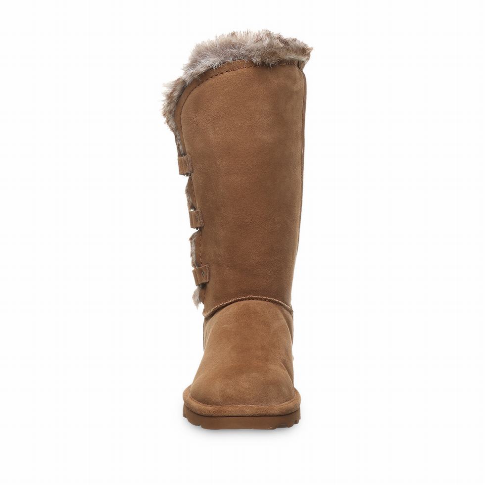 Bearpaw Emery Støvler Dame Brune | IHD64PT