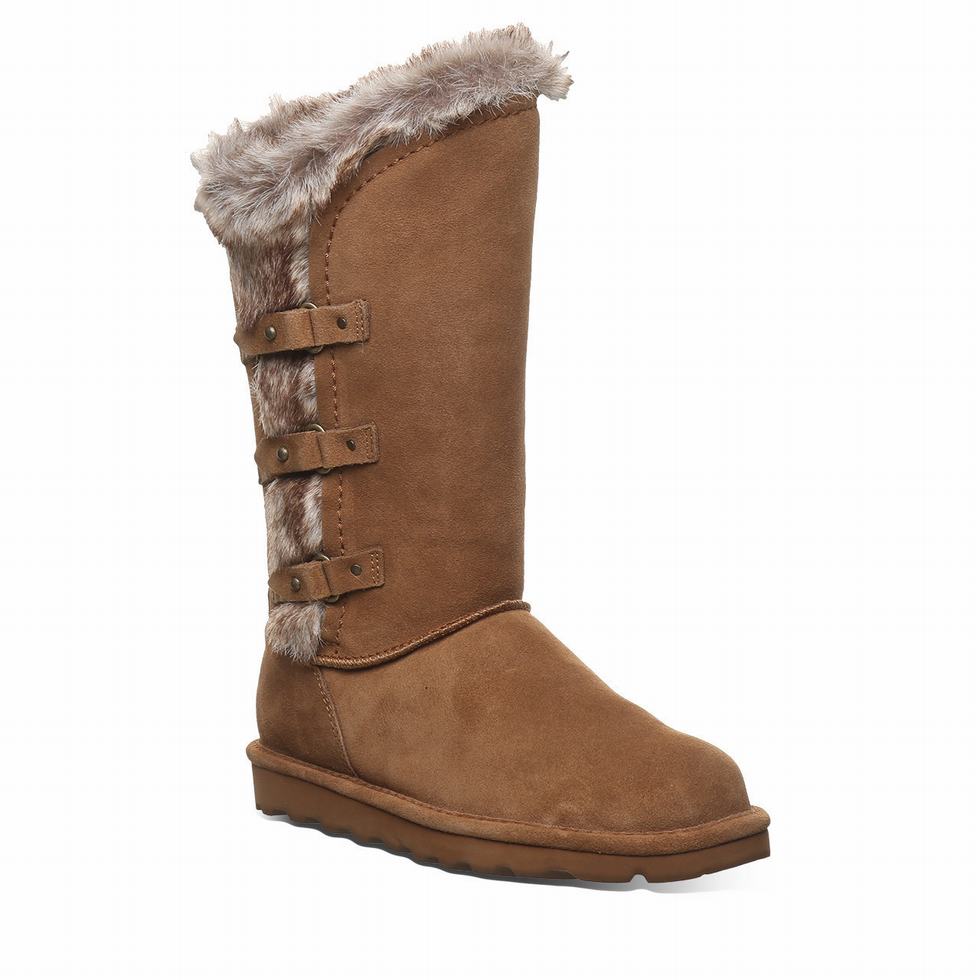 Bearpaw Emery Støvler Dame Brune | IHD64PT