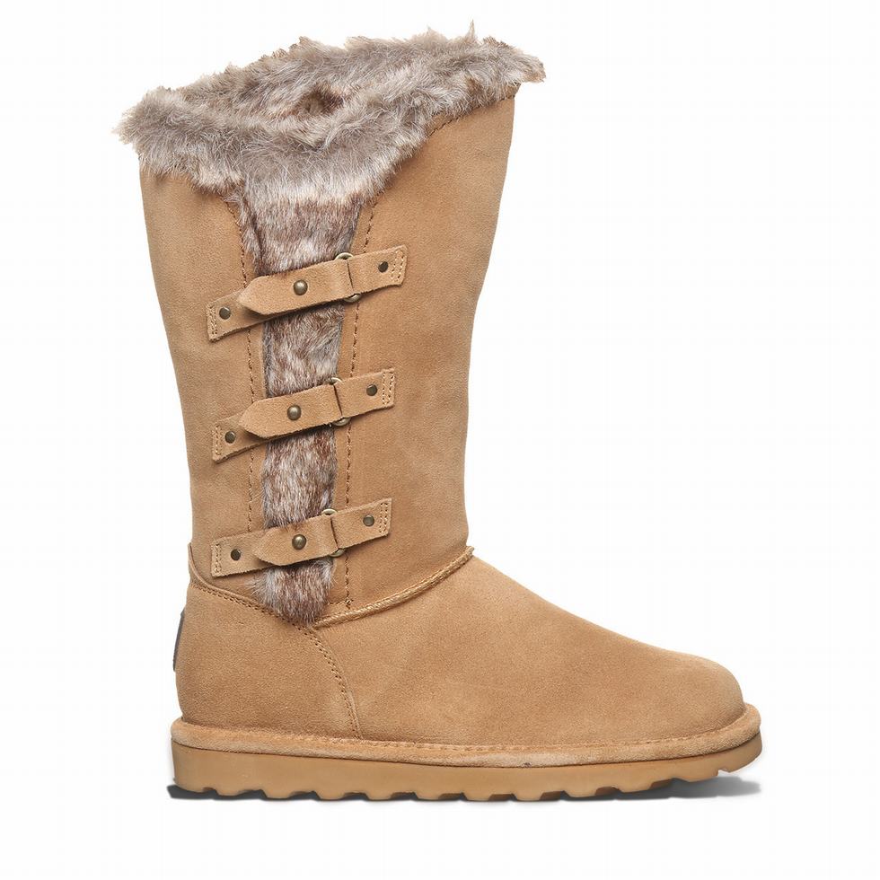 Bearpaw Emery Støvler Dame Brune | PMJ3875YN