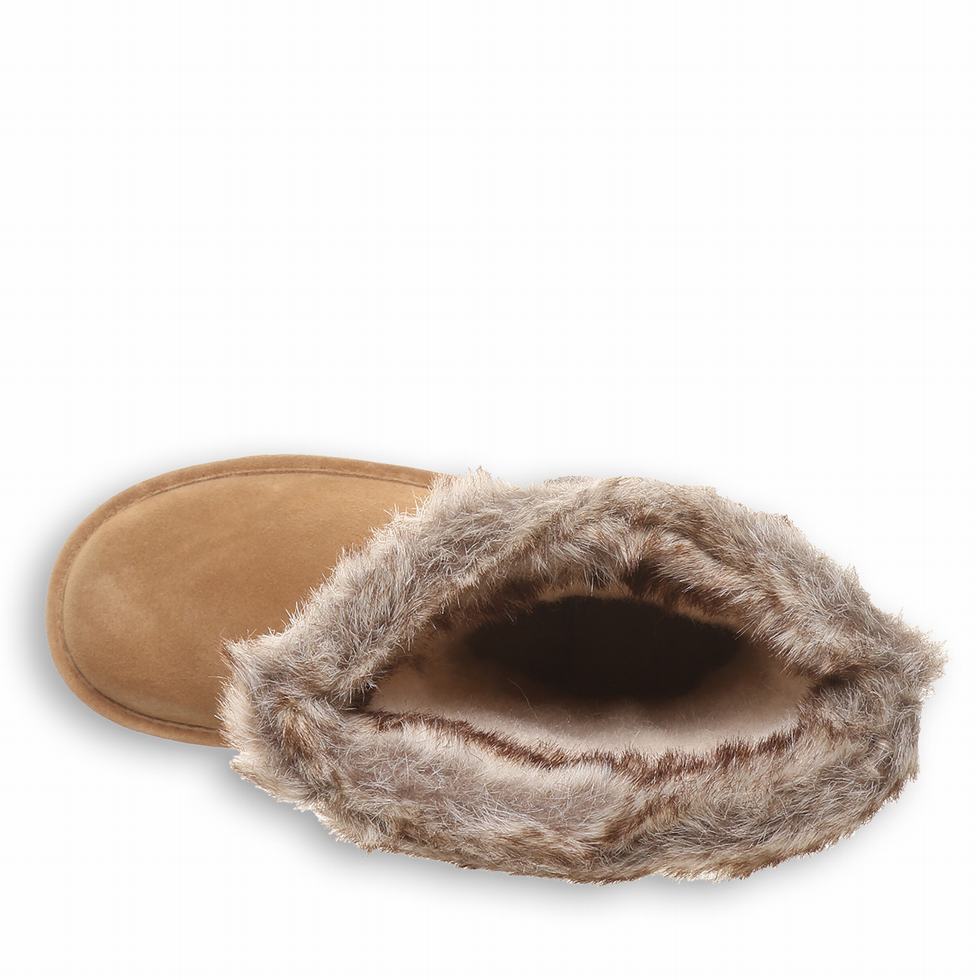 Bearpaw Emery Støvler Dame Brune | PMJ3875YN