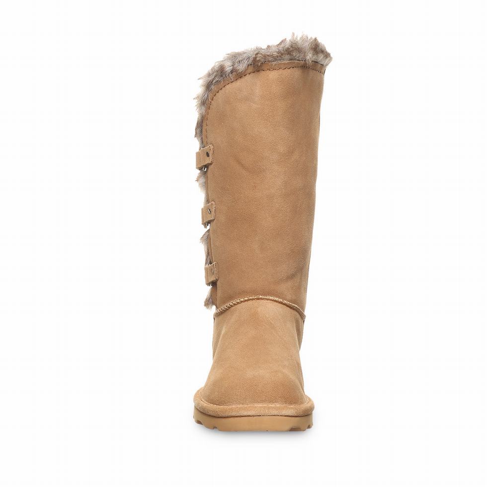 Bearpaw Emery Støvler Dame Brune | PMJ3875YN