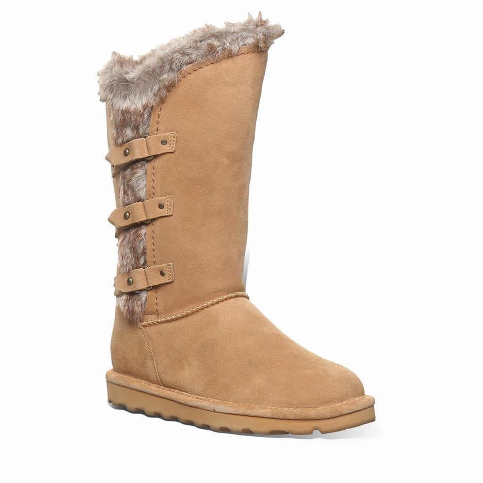 Bearpaw Emery Støvler Dame Brune | PMJ3875YN