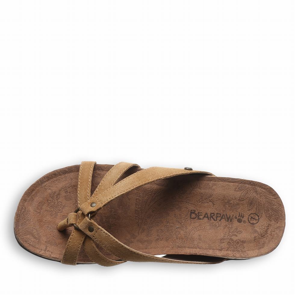 Bearpaw Fawn Sandaler Dame Brune | ZOP4214NZ