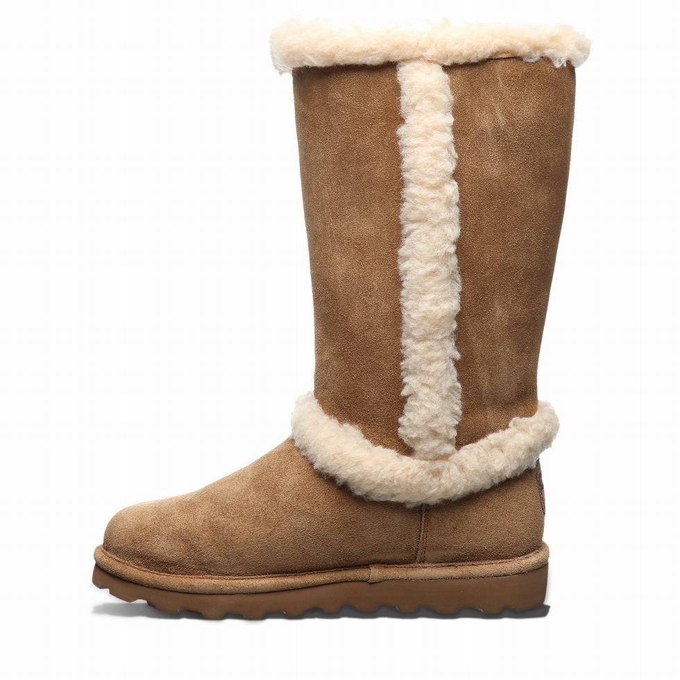 Bearpaw Kendall Støvler Dame Brune | XWW768VB