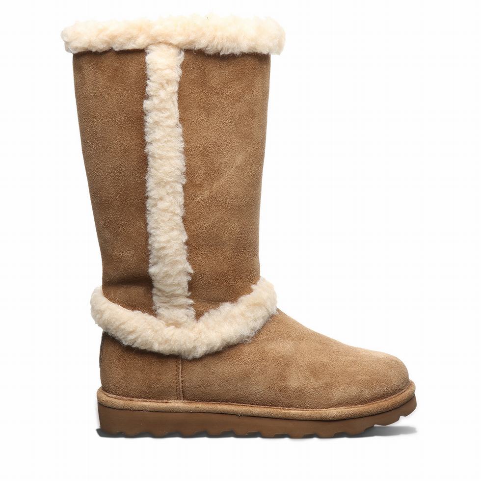 Bearpaw Kendall Støvler Dame Brune | XWW768VB