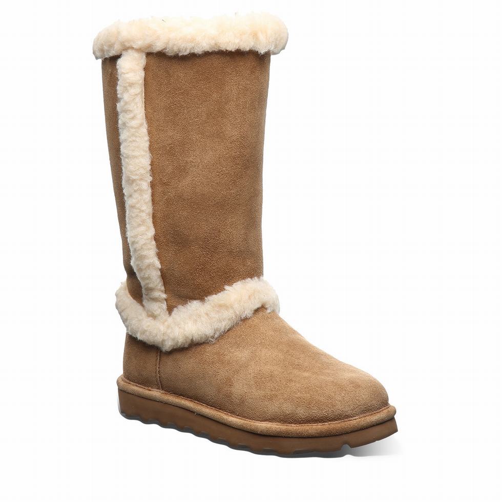 Bearpaw Kendall Støvler Dame Brune | XWW768VB