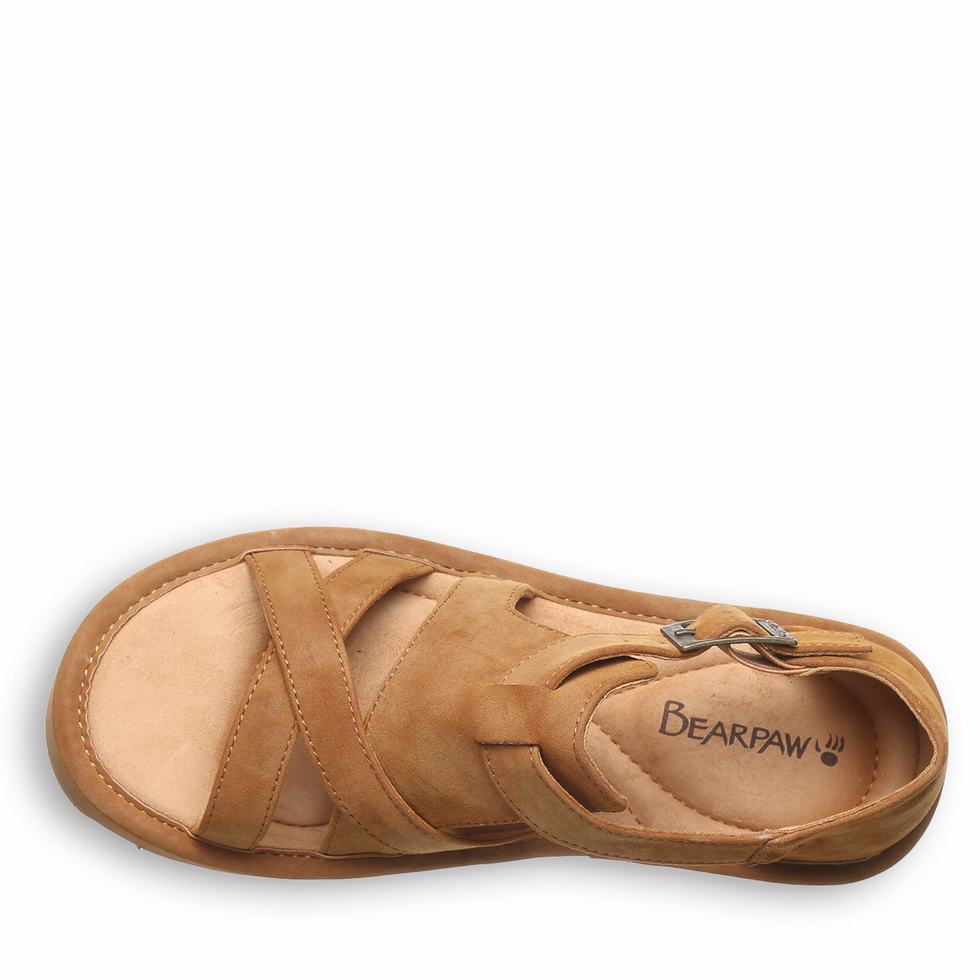 Bearpaw Pinnacle Sandaler Dame Brune | PRP3878KT