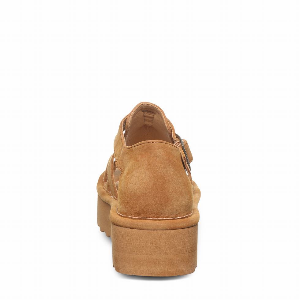 Bearpaw Pinnacle Sandaler Dame Brune | PRP3878KT