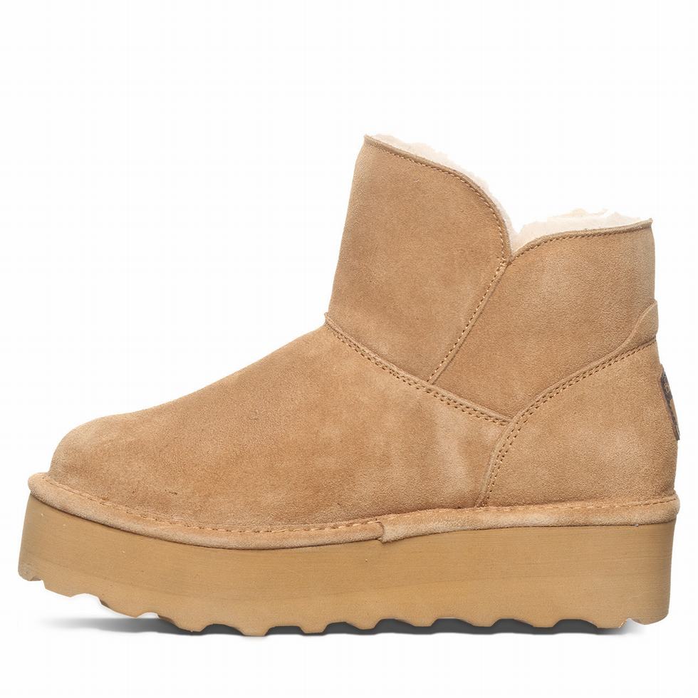 Bearpaw Retro Maren Støvler Dame Brune | PZP3689LP