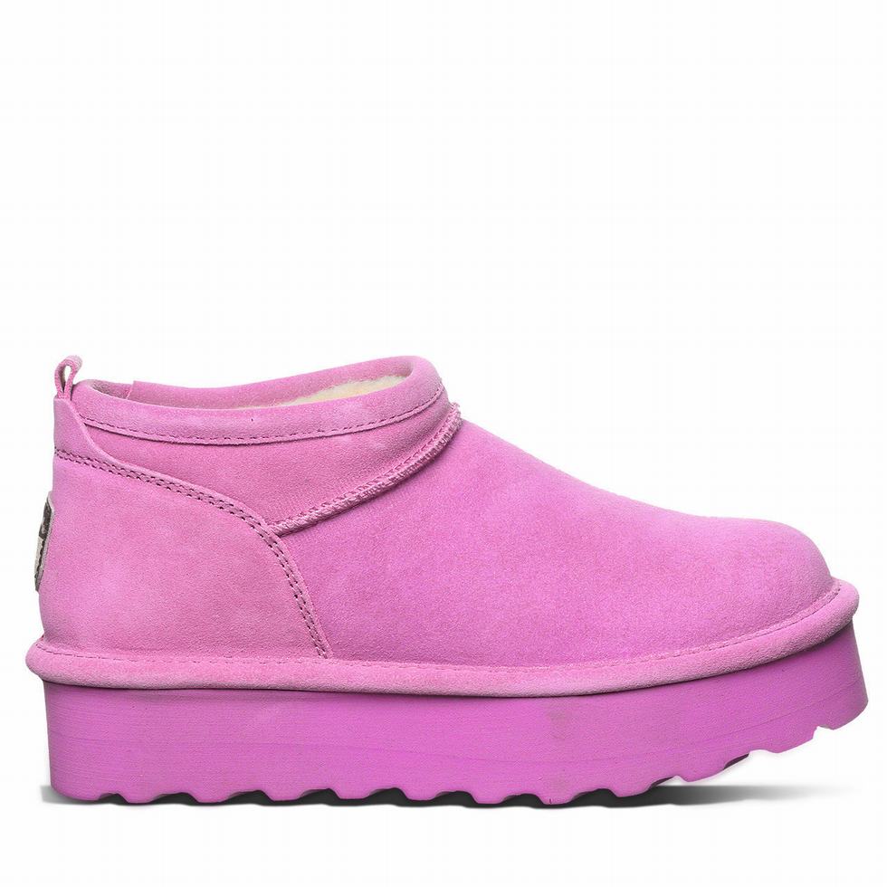 Bearpaw Retro Super Shorty Platform Støvler Dame Lilla | MWJ618ML