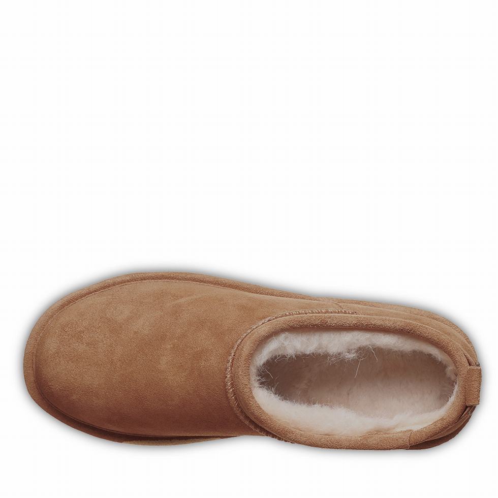 Bearpaw Retro Super Shorty Platform Støvler Dame Brune | MIF8160SI