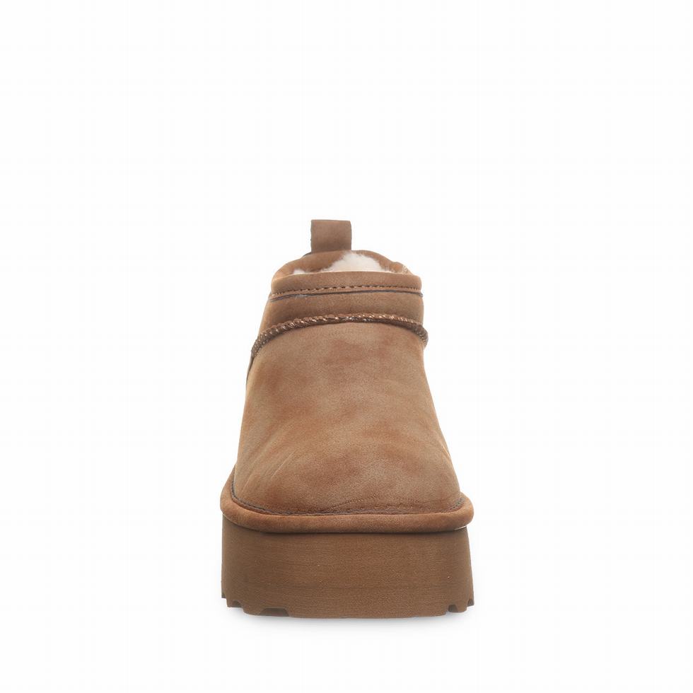 Bearpaw Retro Super Shorty Vegan Platform Støvler Dame Brune | EUO7912KE