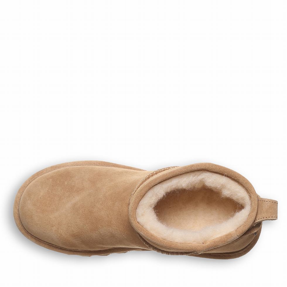 Bearpaw Shorty Støvletter Dame Brune | EYN9240VC