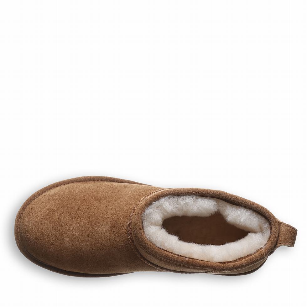 Bearpaw Shorty Støvletter Dame Brune | QNV939YC